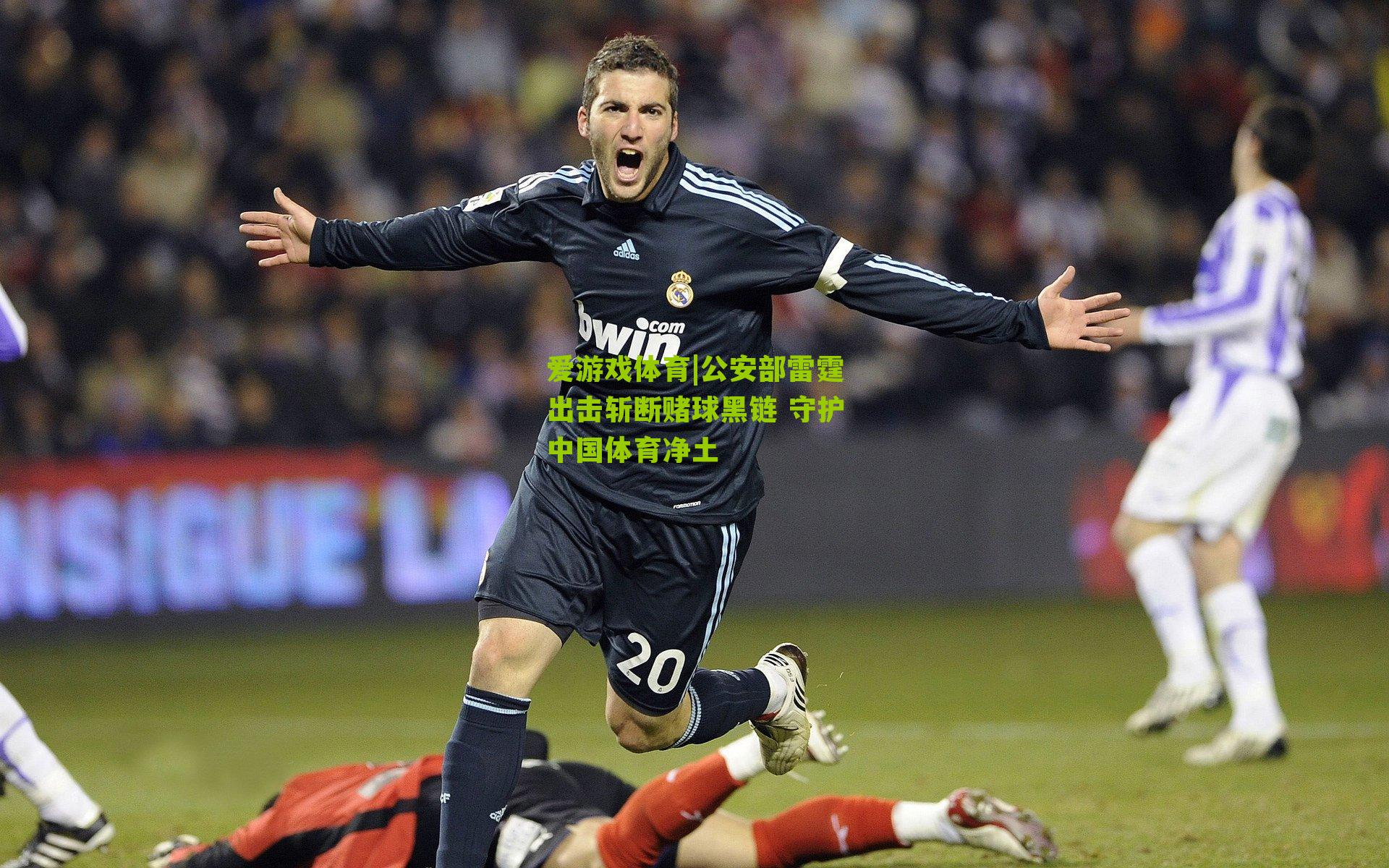爱游戏体育|公安部雷霆出击斩断赌球黑链 守护中国体育净土